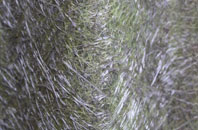 Horsted Keynes fibreglass roof work